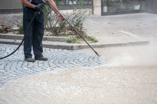 Best Fence Cleaning and Maintenance in Las Palmas Ii, TX