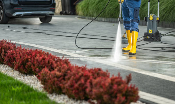Best Parking Lot Cleaning in Las Palmas Ii, TX